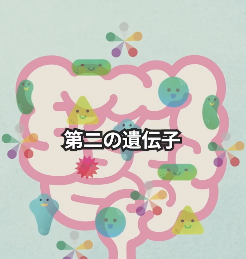 スクリーンショット 2026-01-11 12.11.51