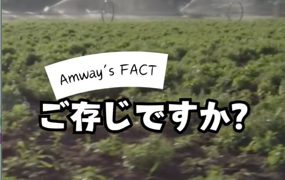 スクリーンショット 2026-01-11 13.08.51